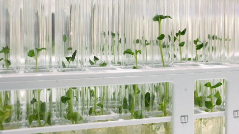 Anuga-Horizon-Sliderbild1_Startup-Day-New-Solutions-New-Products