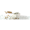 TZAFETTAS_KATSIKISIO_MAIN_jpg.png
